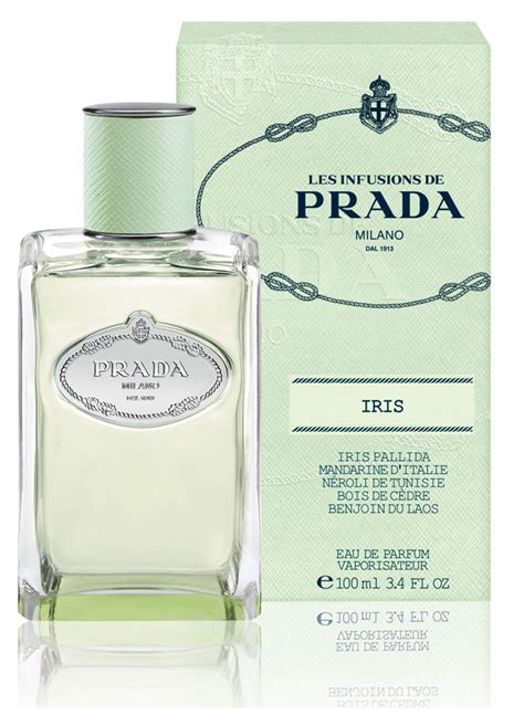 prada infusion d'iris for men|prada infusion d'iris discontinued.